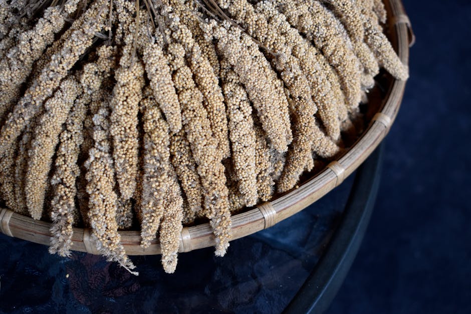 millet grain kitchen preparation