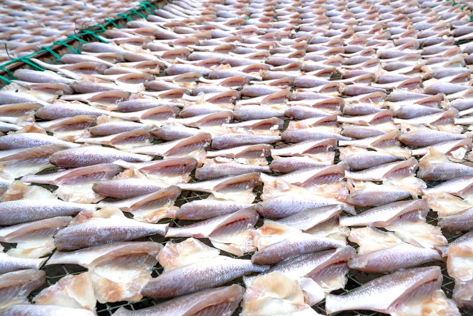pat dry fish fillet paper towel