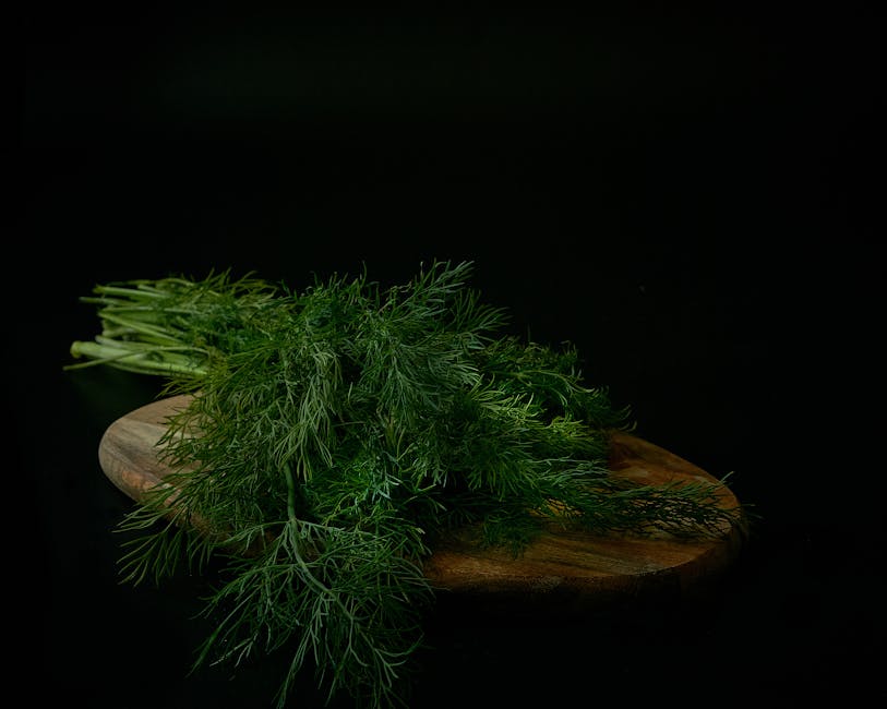 dill herb cream sauce ingredients