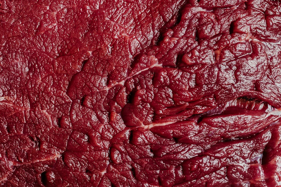 beef chuck shoulder cut raw meat