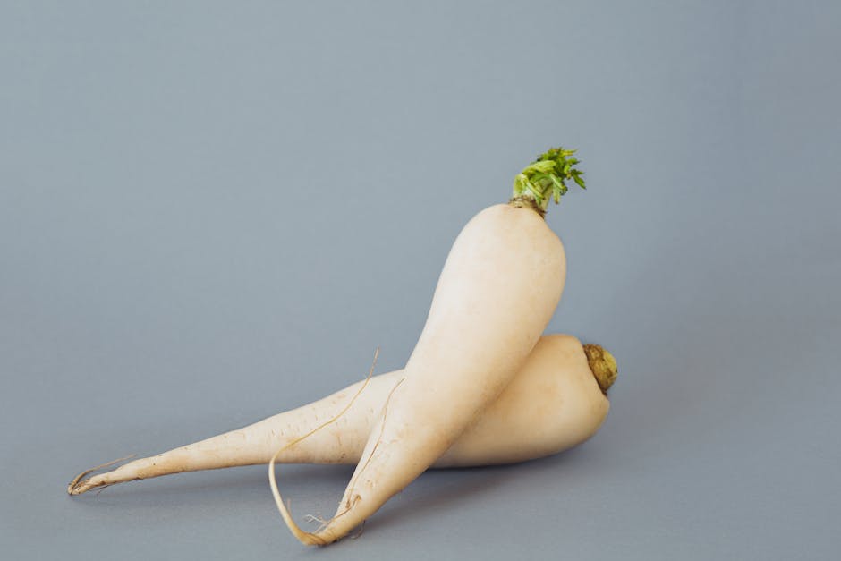 white radish vegetable root fresh cooking ingredients